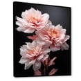 thumbnail image 2 of Designart "Muted Peonies Pink Black wall decor" Floral Floater Framed Wall Art Living Room, 2 of 7