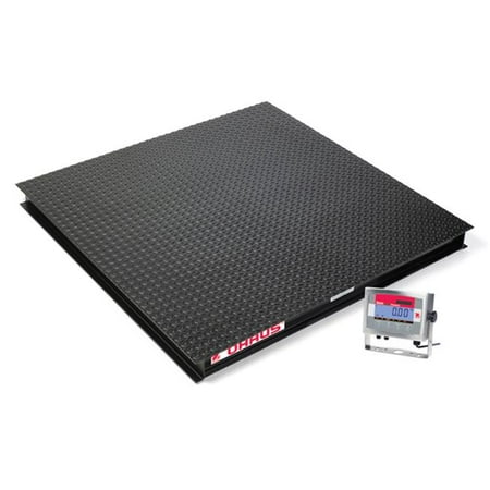 

Standard High Capacity Floor Scale With 4 X 4 Ft. Platform Size 2500 Lbs.
