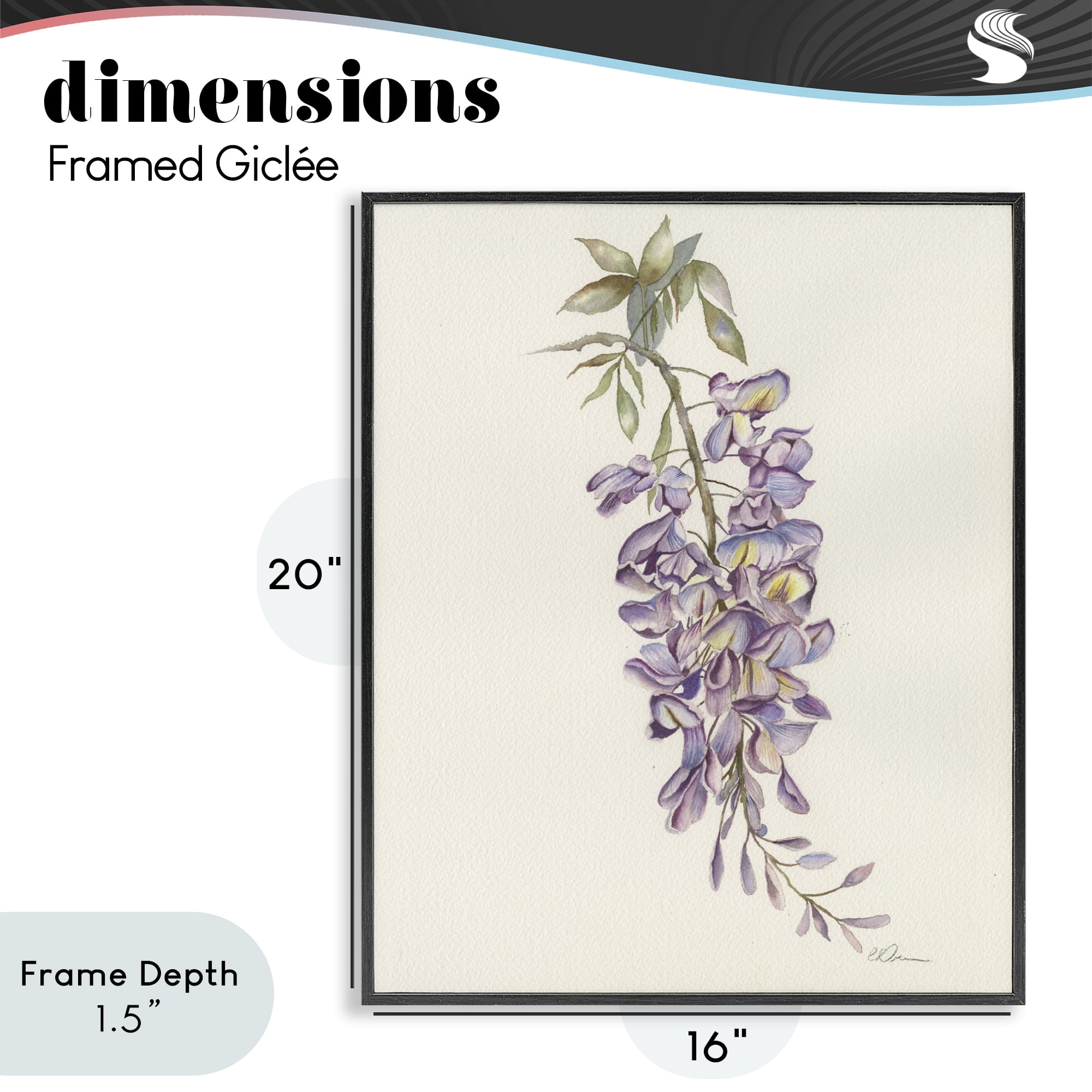 Stupell Industries Delicate Hyacinths Study Black Framed Giclee Art, design by Cady Driver