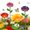 4-pack(yellow, Purple, Pink, Prange), variant on Bee Watering Station, Metal Flower Bee Bath for Garden – Butterflies & Pollinators – Colorful Outdoor Gardening Stakes for Yard, Patio, Butterfly Garden, Gardening Essentials