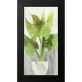 thumbnail image 2 of Hristova, Albena 11x18 Black Modern Framed Museum Art Print Titled - Tropical Planter I, 2 of 5