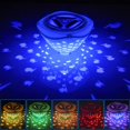 thumbnail image 1 of Projection de Poissons sous-Marine avec 6 Modes et 4 Couleurs, 1 of 4