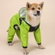 thumbnail image 5 of Chubasquero Impermeable Para Perros Y Mascotas, Chaqueta Impermeable Para Mascotas Con Sombrero Transparente, Suministros Para Mascotas seitruly PT002597-06, 5 of 6