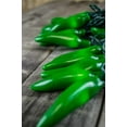 thumbnail image 2 of Outdoor String Lights Chili Pepper Fiesta String Lights Plug-In Indoor Outdoor 35 Green Bulbs, 2 of 4
