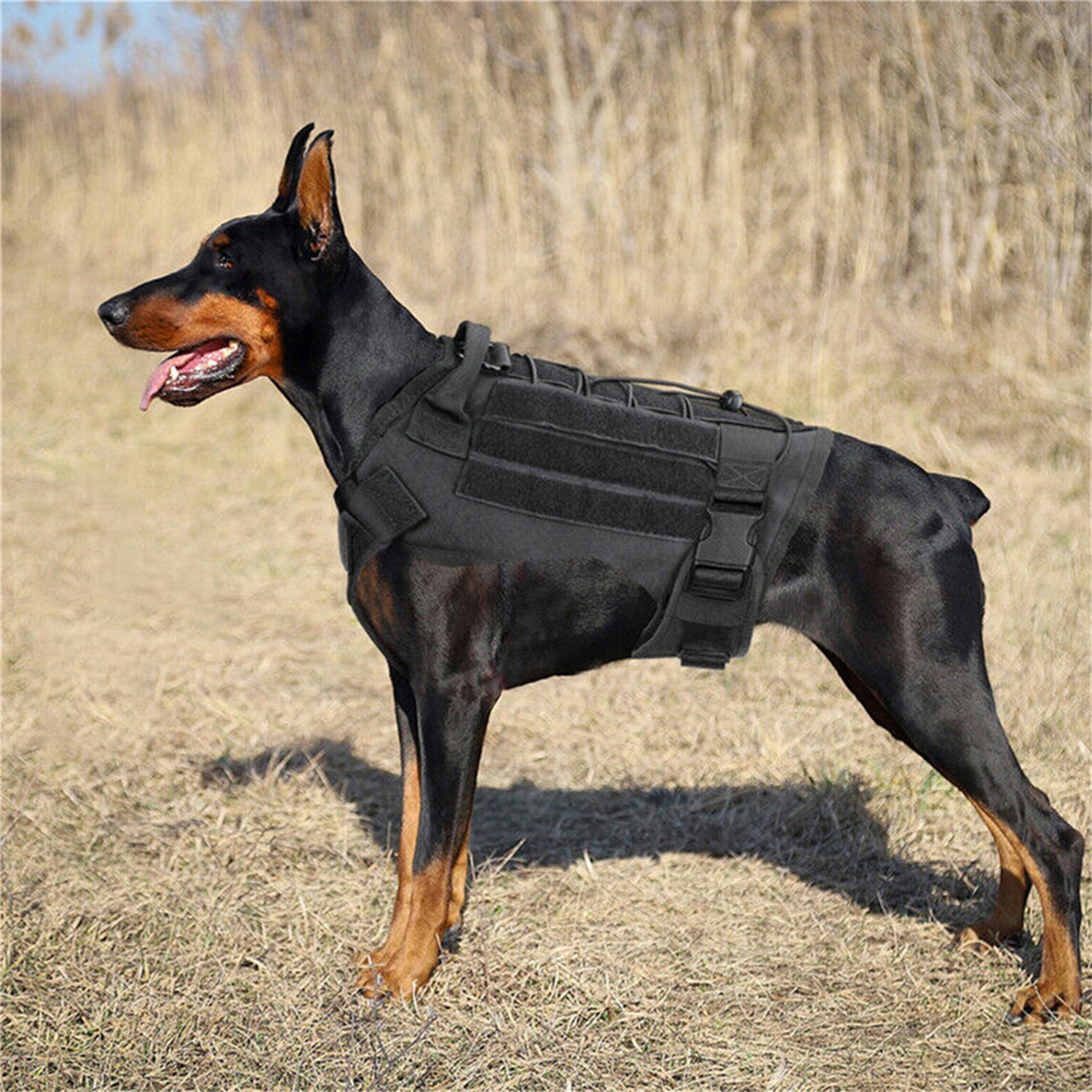 Pefilos XL Tactical Dog Harness Full Buckled Dog Sport Vest for Large Dogs  No Pull Dog Jacket, Military Adjustable Easy to Put On Dog Vest for Walking  Hiking Training, Black