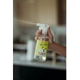thumbnail image 6 of Rebel Green Natural All-Purpose Cleaning Spray - Peppermint & Lemon Scent - (16 Ounce Bottles, 2 Pack), 6 of 9