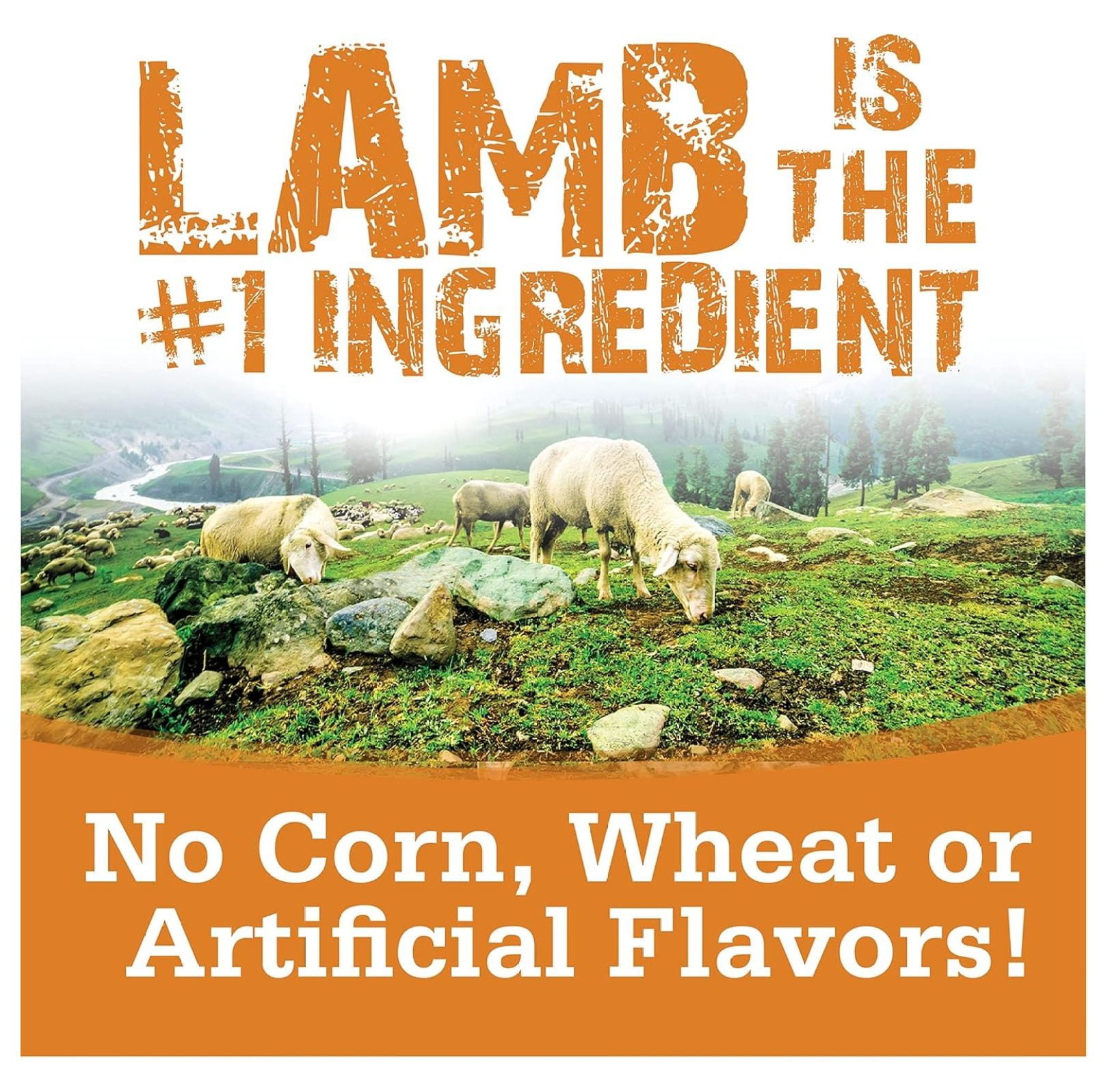 Nutri Source TU80021 14 oz Soft & Tender Lamb Treats for Dogs