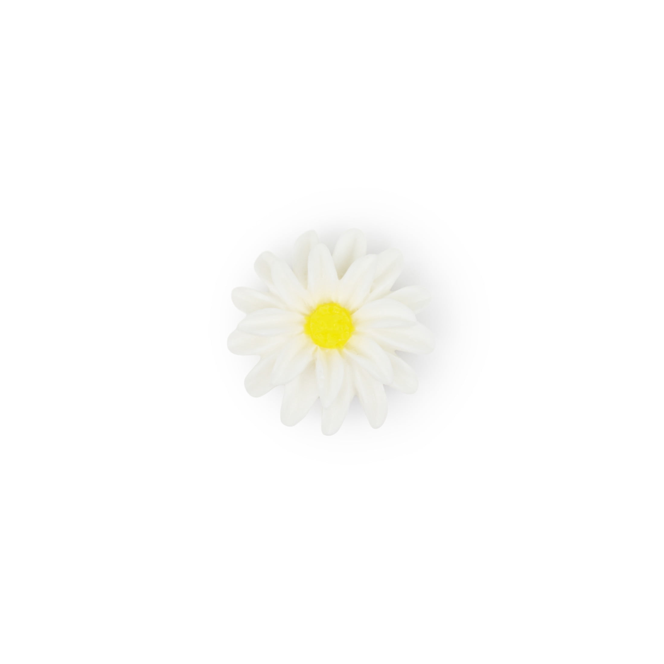 Hello Hobby Accessories Resin Daisies, 8 piece