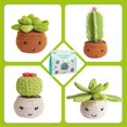 thumbnail image 4 of Beginner Crochet Kit, Learn Crochet Kit Compatible with Adults And Kids, 4-pack Plant Collection, Cactus Orname-QQ, 4 of 5