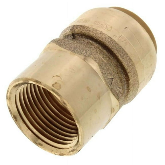 Cash Acme & Sharkbite UR088 0.75 x 0.75 in. FNPT Bulk Connector