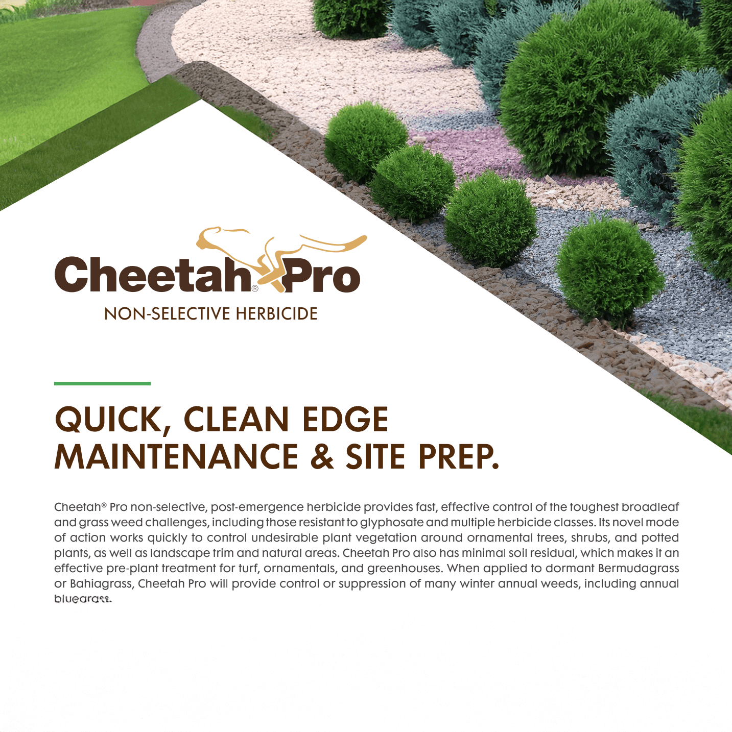 Nufarm Cheetah Pro Glufosinate Weed and Grass Killer, 16 fl oz