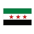 thumbnail image 1 of Drapeau - Syria (Ancien) Utilisé par la Coalition Nationale Syrienne, 1 of 1
