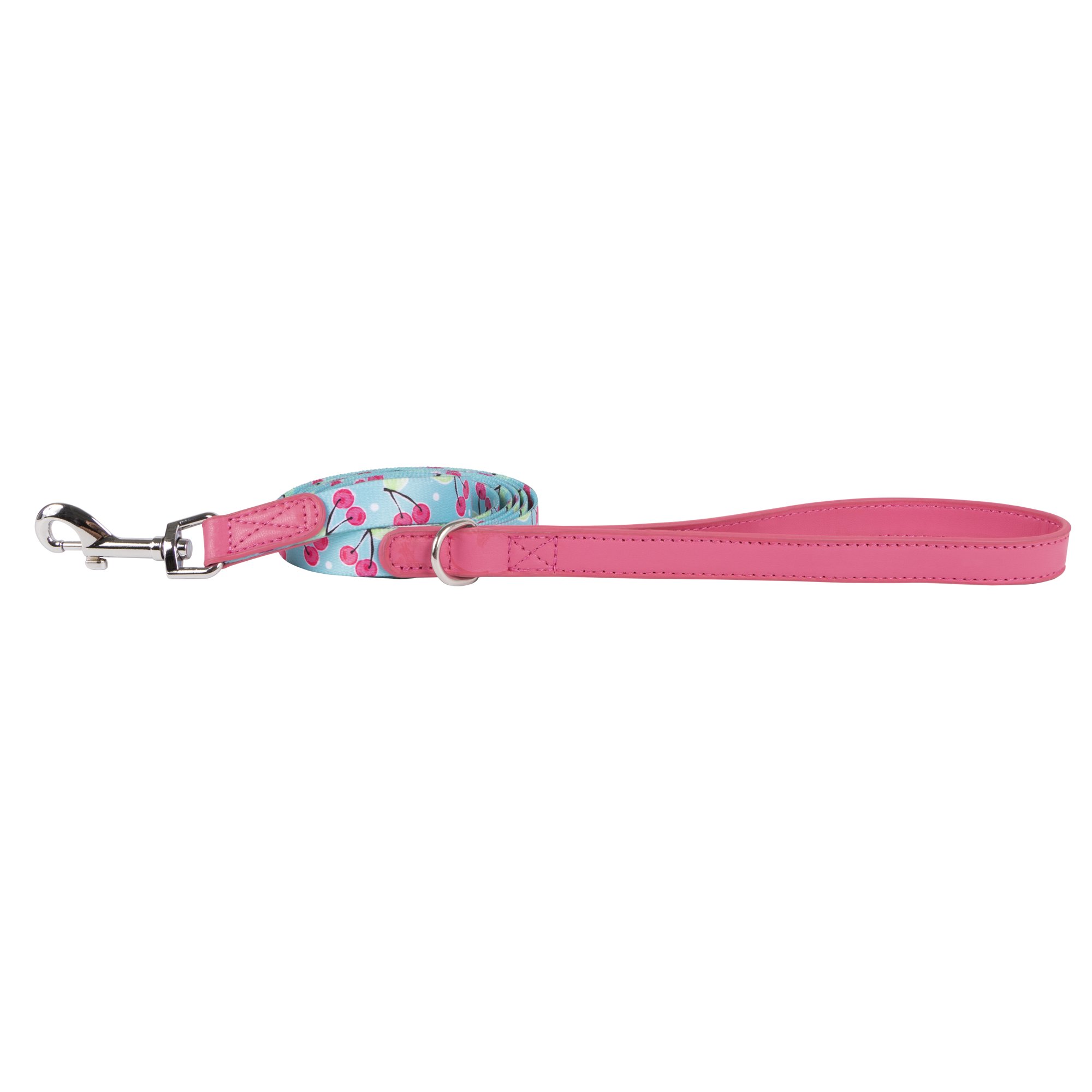 Vibrant Life Patterned Dog Leash, Cherry, 6-ft