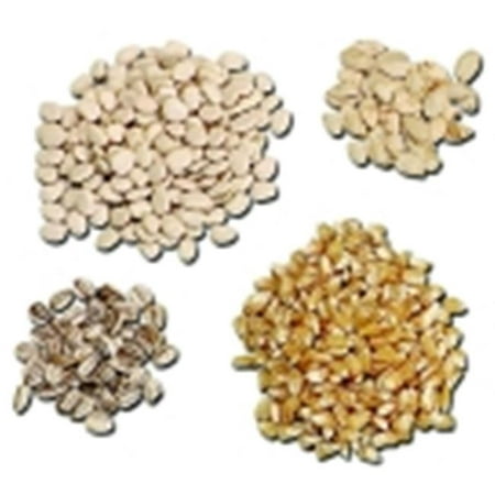 Frey Scientific Broad Bean Seeds, 0.5 Lbs.