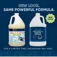 thumbnail image 2 of Fruit Fly Drain Treatment | Drain Fly Eliminator | Eliminates Gnats, Sewer Flies and More - Works in All Drains - 128 Fl Oz w Fly Finder, 2 of 9