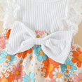 thumbnail image 6 of Baby Girl Summer Clothes Outfits Sleeveless Lace Floral Romper Dress Newborn Outfit, 6 of 7