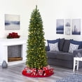 thumbnail image 4 of 7ft. Slim Green Mountain Pine Artificial Christmas Tree with 300 Clear LED Lights, 4 of 10