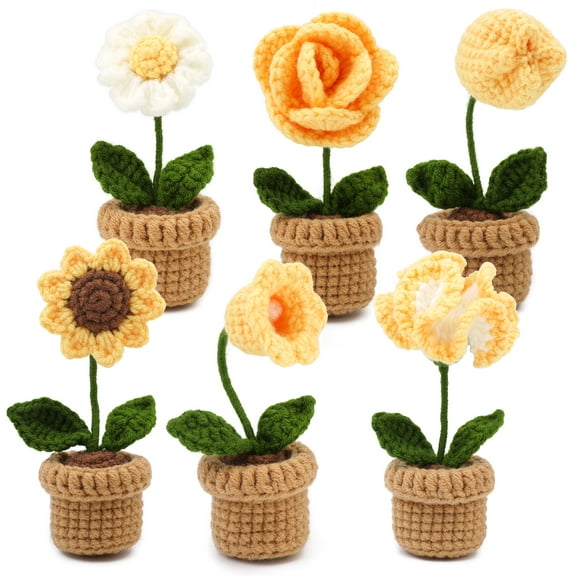 Beginners Crochet Kit, 2 Pack Cute Small Pot Kit for Beginers and Experts, All in One Crochet Knitting Kit, Step-by-Step Instructions Video, Crochet Starter Kit for Beginner DIY Craft Art.