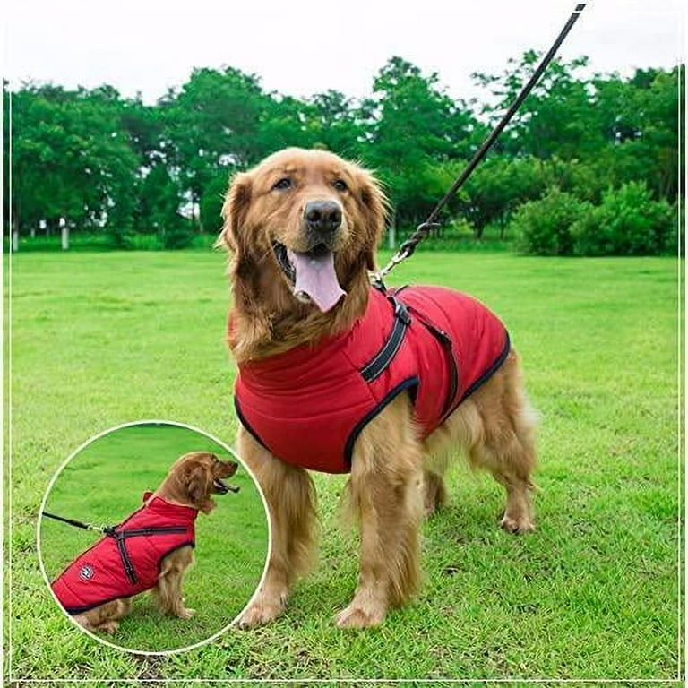 Waterproof dog harness 2025