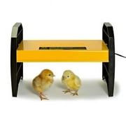 Brinsea Products USHD500 Ecoglow 20 Chick Brooder