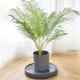thumbnail image 4 of Base Rodante Resistente para Plantas con Ruedas | Bandeja Extraíble para Macetas | Carrito Transpirable para Macetas Grandes | Soporte Rodante de Plástico Beige/Gris, 4 of 6