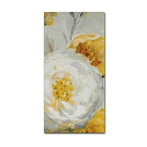 Trademark Fine Art 'Sunshine XV' Canvas Art by Lisa Audit