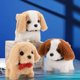 thumbnail image 2 of Electronic Plush Toys Puppy-Walking, Barking, Tail Wagging, Stretching Companion Animal for Kids Toddlers（Tie Golden Hair）, 2 of 3