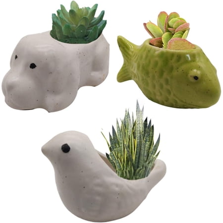 India Meets India Ceramic Flower Pot Planter Plant Pot Indoor Planter Handicraft by Awarded Indian Artisan (Bird, Fish and Elephant (Set of 3))