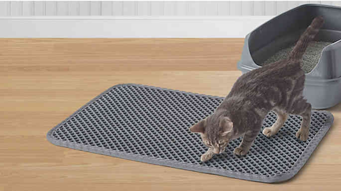 pawslife cat litter house