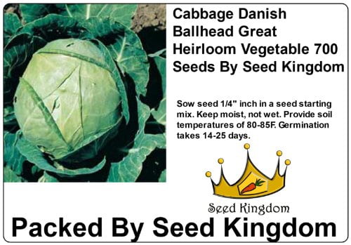 Melon Top Mark Great Heirloom Vegetable By Seed Kingdom 100 Seeds 
