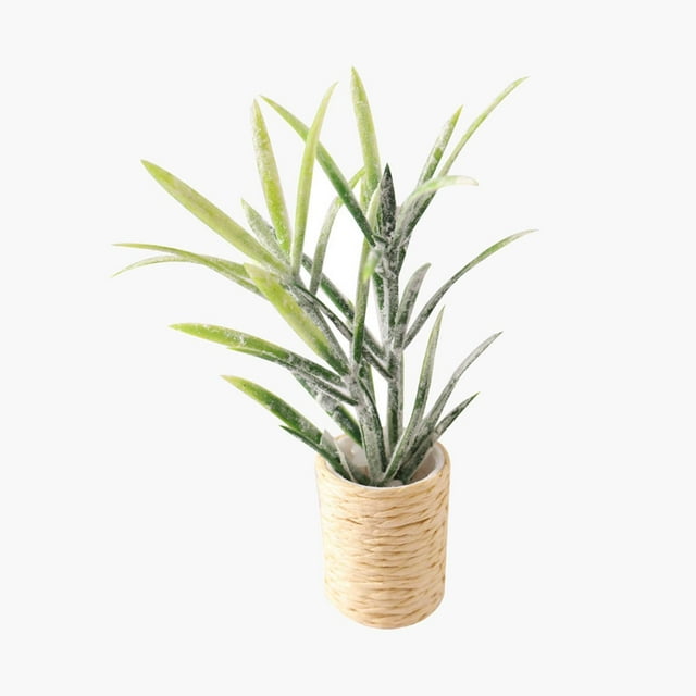 TISHITA Bonsaï Ornement de Verdure Maison de Poupée en Pot Modélisation Mini Jouets pour Maison de Poupée Micro B