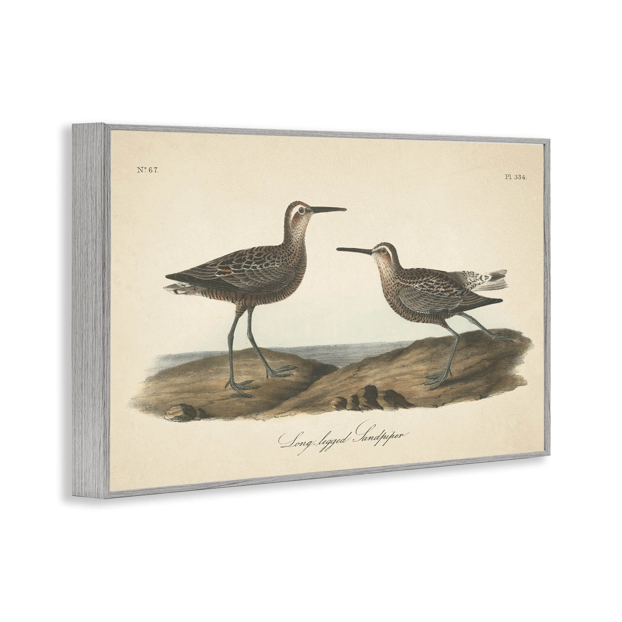 Stupell Industries Long Legged Sandpiper Animals & Insects Painting Gray Framed Art Print Wall Art, 30 x 20