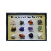 BGZLEU Gems Collection Geology Educational Kit for Kids,Children's Natural Science Education kits-12 Pieces with Clear Rock Display Case,Healing Chakra Gemstones,Jasper Stone