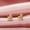Gold, variant on 925 Silver,Rose Gold,Gold Stud Earring Cute Women Engagement Jewelry A Pair