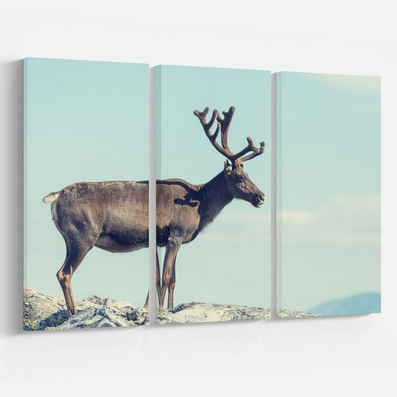 Design Art Large Reindeer in Norway Canvas Print