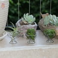 thumbnail image 4 of Trjgtas Pack 5 Air Plant Holder Air Plants Holders Tillandsias Display Air Purifying Plant Container Air Fern Stand, Silver, 4 of 5