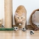 thumbnail image 4 of 5 pelotas de tenis envueltas en forma de animal, divertidas pelotas de juguete para gatos y gatitos., 4 of 5