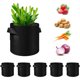 thumbnail image 1 of Paquete de 5 bolsas de cultivo, macetas de tela no tejida resistentes con asas, para verduras, flores, plantas y frutas, color negro, 1 of 4