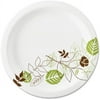 Dixie, DXEUX7PATH, Pathways 7" Medium-weight Paper Plates by GP Pro, 1000 / Carton, White,Green
