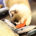 thumbnail image 2 of AMERTEER 50% Off! 30CM Cat Toy Simulation Fish Toy Cat Mint USB Charging Silver Arowana, 2 of 6