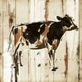 thumbnail image 2 of OnRei 12x12 White Modern Wood Framed Museum Art Print Titled - How Now Brown Cow, 2 of 4