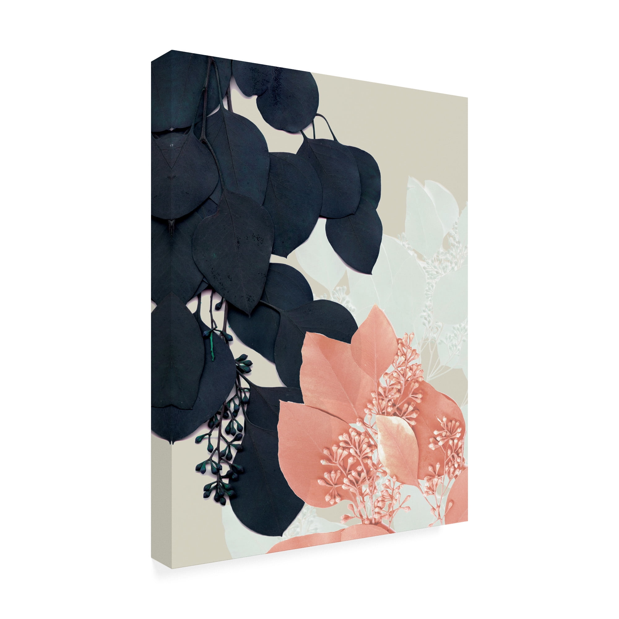Trademark Fine Art 'Indigo And Blush Leaves III' Canvas Art by Jennifer Goldberger