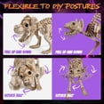 thumbnail image 4 of Yescom 2Pcs Poseable Dachshund Dog and 1 Pcs Cat Skeleton Life Size Pet Animal Halloween Yard Decor, 4 of 10