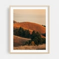thumbnail image 2 of Tamalpais Evening View 02 - California Photography Unframed Wall Art Print 16 x 20 inches, 2 of 13