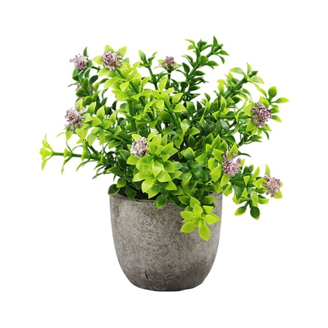 Advancent Elegante planta de jade artificial en maceta para apariencia realista verde interior o exterior Decoración aliento de bebe café