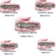 thumbnail image 2 of 5 Pcs Fishing Lures Multi Jointed Fish Fishing Kits Artificial Bionic Realistic Lures Lucky, 2 of 3