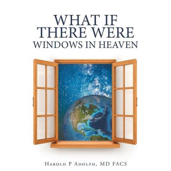 What If There Were Windows in Heaven (Paperback)
