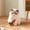 C*1+D*1, variant on Runkheen Wooden Interactive Cat Toy with Catnip, Self-Righting Wobble Tumbler Chaser with Feather, Indoor Cat Play Toy, No Batteries Required