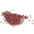 thumbnail image 2 of 100 piezas de semillas de fresa Sincero Semillas de fresa comestibles en macetas interiores exteriores balcones jardines, 2 of 10