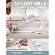 Baby Delight Alpine Portable Baby Bouncer, 3-Position Recline, Lightweight & Foldable, Driftwood Grey